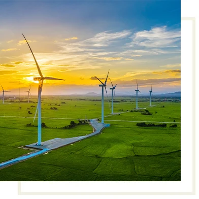 Les dynamiques territoriales dans la transition energetique